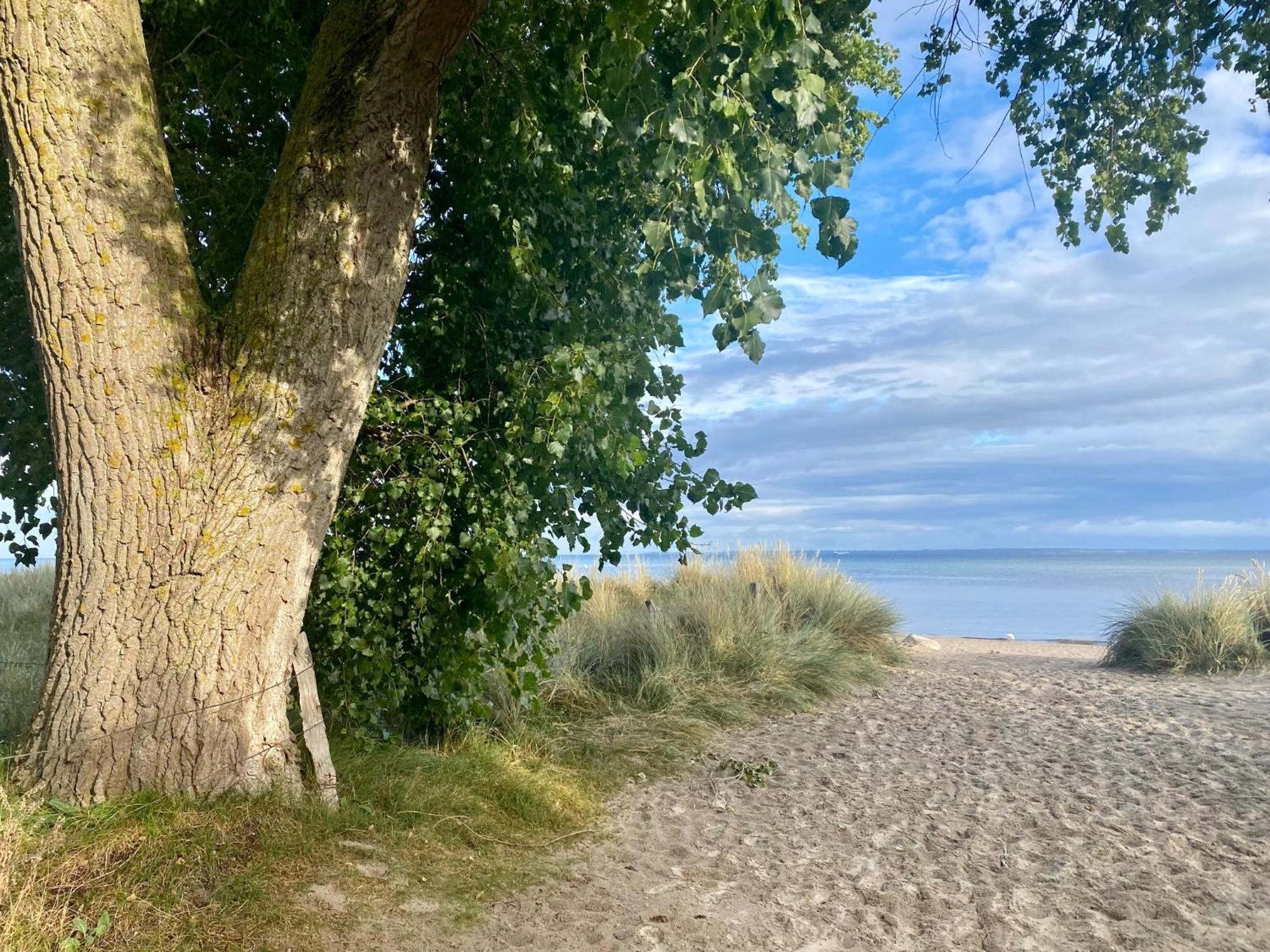 Feriendorf Suedstrand Haus 33 Pelzerhaken Buitenkant foto